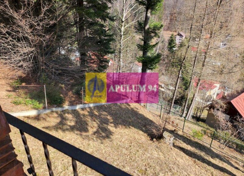 Pensiune de vanzare in Busteni - Zona deosebita